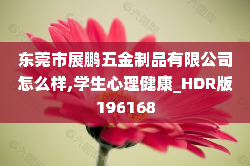 东莞市展鹏五金制品有限公司怎么样,学生心理健康_HDR版196168