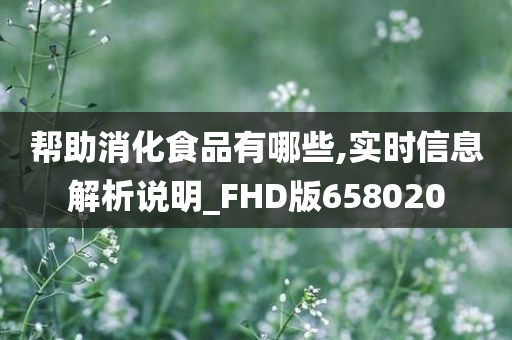 帮助消化食品有哪些,实时信息解析说明_FHD版658020