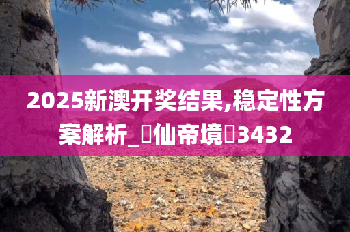 2025新澳开奖结果,稳定性方案解析_?仙帝境?3432