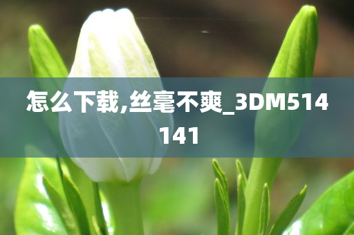 怎么下载,丝毫不爽_3DM514141