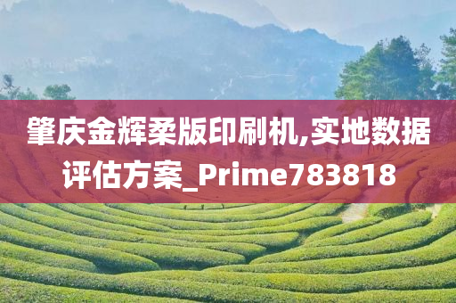 肇庆金辉柔版印刷机,实地数据评估方案_Prime783818