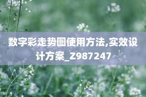 数字彩走势图使用方法,实效设计方案_Z987247