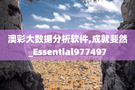 澳彩大数据分析软件,成就斐然_Essential977497