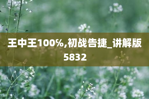 王中王100℅,初战告捷_讲解版5832