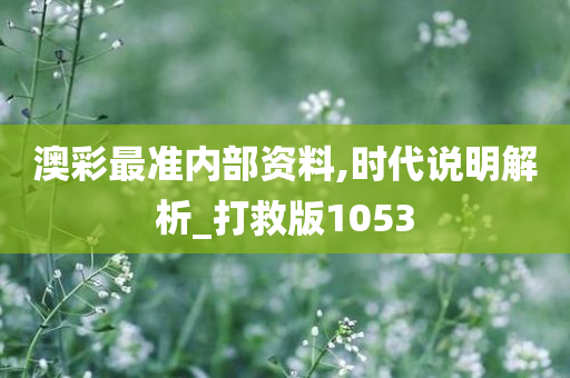 澳彩最准内部资料,时代说明解析_打救版1053