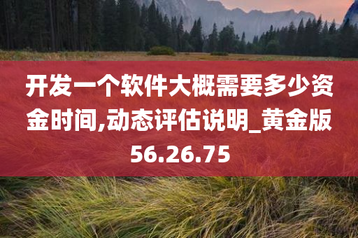 开发一个软件大概需要多少资金时间,动态评估说明_黄金版56.26.75