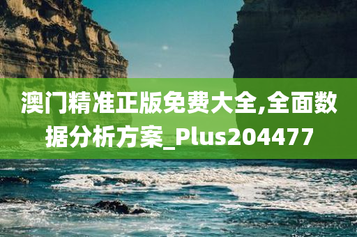 澳门精准正版免费大全,全面数据分析方案_Plus204477