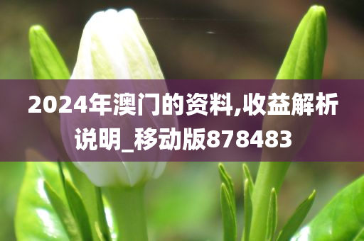 2024年澳门的资料,收益解析说明_移动版878483