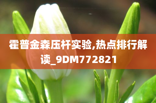 霍普金森压杆实验,热点排行解读_9DM772821