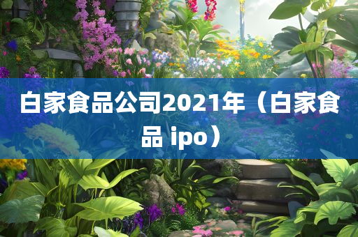 白家食品公司2021年（白家食品 ipo）