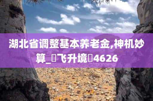 湖北省调整基本养老金,神机妙算_?飞升境?4626