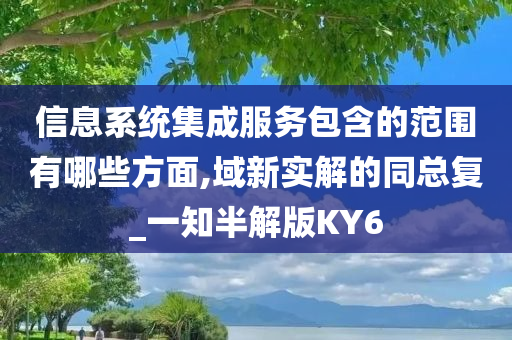 信息系统集成服务包含的范围有哪些方面,域新实解的同总复_一知半解版KY6