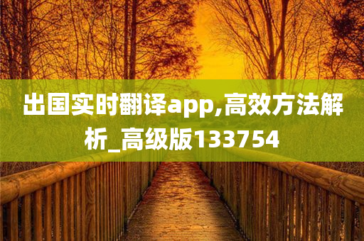 出国实时翻译app,高效方法解析_高级版133754