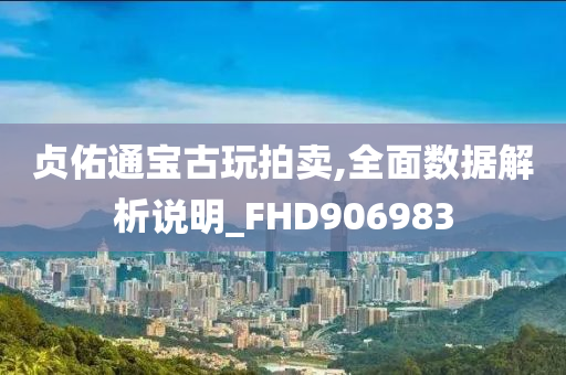 贞佑通宝古玩拍卖,全面数据解析说明_FHD906983