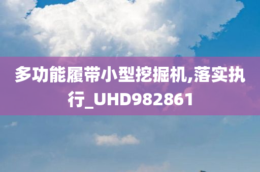 多功能履带小型挖掘机,落实执行_UHD982861