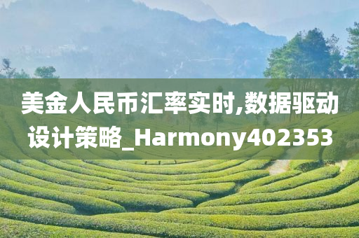 美金人民币汇率实时,数据驱动设计策略_Harmony402353