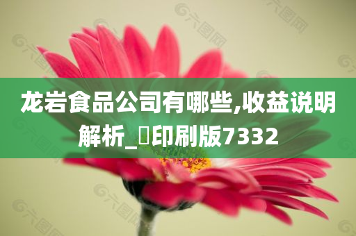 龙岩食品公司有哪些,收益说明解析_?印刷版7332