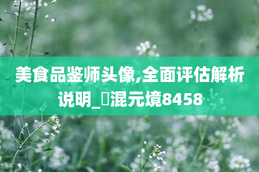 美食品鉴师头像,全面评估解析说明_?混元境8458