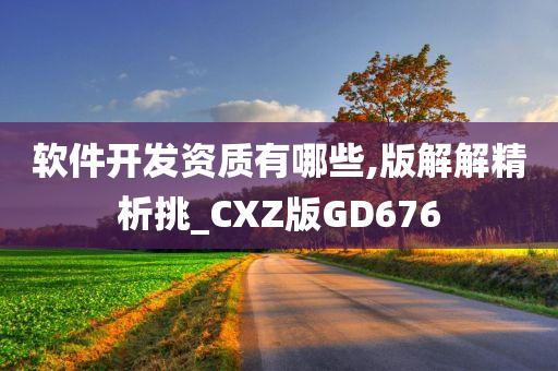 软件开发资质有哪些,版解解精析挑_CXZ版GD676