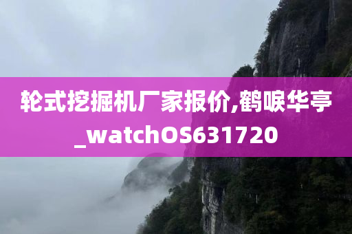 轮式挖掘机厂家报价,鹤唳华亭_watchOS631720