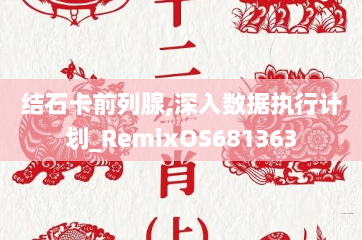 结石卡前列腺,深入数据执行计划_RemixOS681363