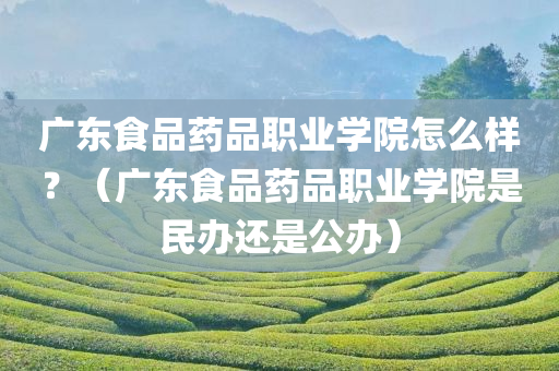 广东食品药品职业学院怎么样？（广东食品药品职业学院是民办还是公办）