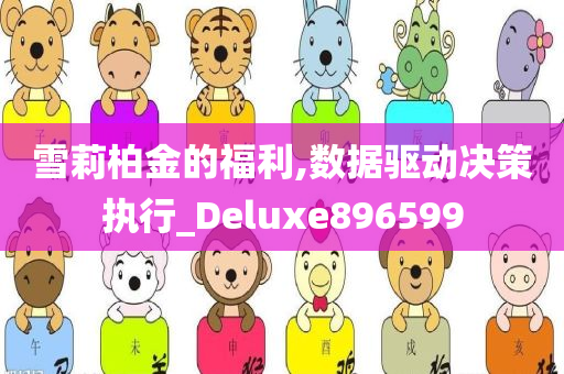 雪莉柏金的福利,数据驱动决策执行_Deluxe896599