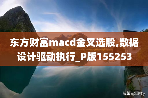 东方财富macd金叉选股,数据设计驱动执行_P版155253