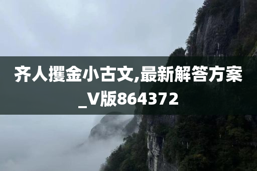 齐人攫金小古文,最新解答方案_V版864372