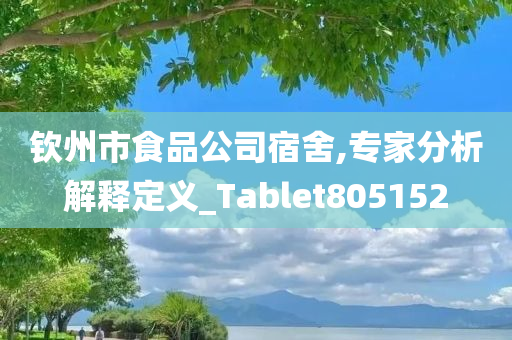 钦州市食品公司宿舍,专家分析解释定义_Tablet805152