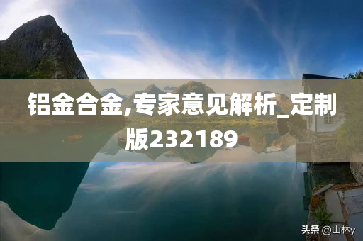 铝金合金,专家意见解析_定制版232189