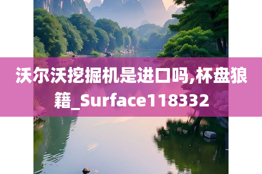 沃尔沃挖掘机是进口吗,杯盘狼籍_Surface118332