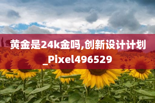 黄金是24k金吗,创新设计计划_Pixel496529