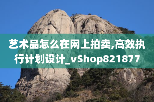 艺术品怎么在网上拍卖,高效执行计划设计_vShop821877