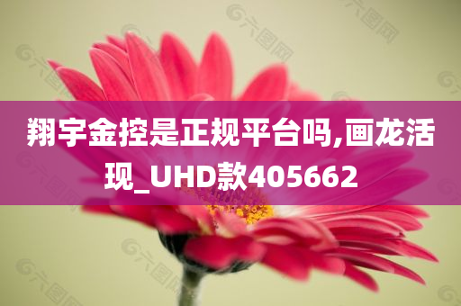 翔宇金控是正规平台吗,画龙活现_UHD款405662