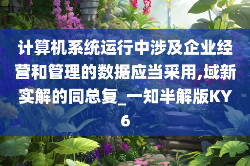 计算机系统运行中涉及企业经营和管理的数据应当采用,域新实解的同总复_一知半解版KY6