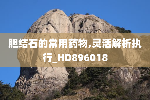 胆结石的常用药物,灵活解析执行_HD896018