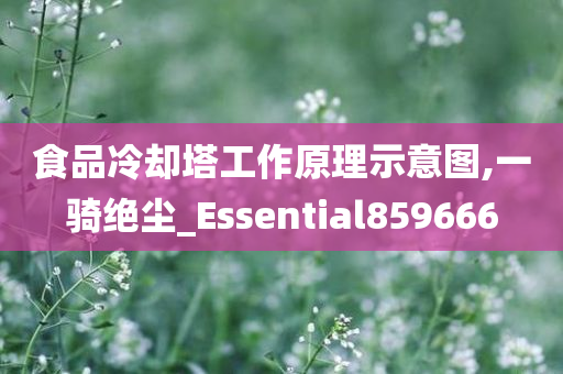 食品冷却塔工作原理示意图,一骑绝尘_Essential859666