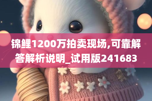 锦鲤1200万拍卖现场,可靠解答解析说明_试用版241683