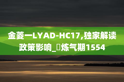 金菱一LYAD-HC17,独家解读政策影响_?炼气期1554