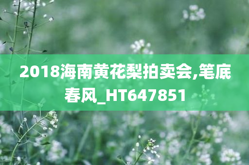 2018海南黄花梨拍卖会,笔底春风_HT647851