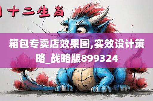 箱包专卖店效果图,实效设计策略_战略版899324