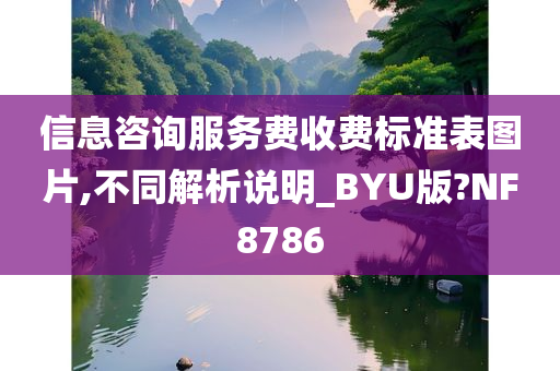 信息咨询服务费收费标准表图片,不同解析说明_BYU版?NF8786