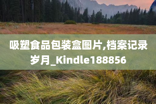 吸塑食品包装盒图片,档案记录岁月_Kindle188856