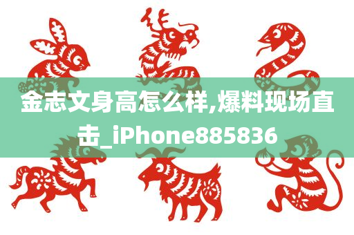 金志文身高怎么样,爆料现场直击_iPhone885836