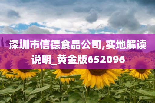 深圳市信德食品公司,实地解读说明_黄金版652096