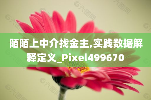 陌陌上中介找金主,实践数据解释定义_Pixel499670