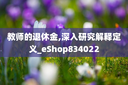 教师的退休金,深入研究解释定义_eShop834022