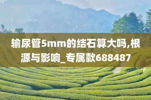 输尿管5mm的结石算大吗,根源与影响_专属款688487