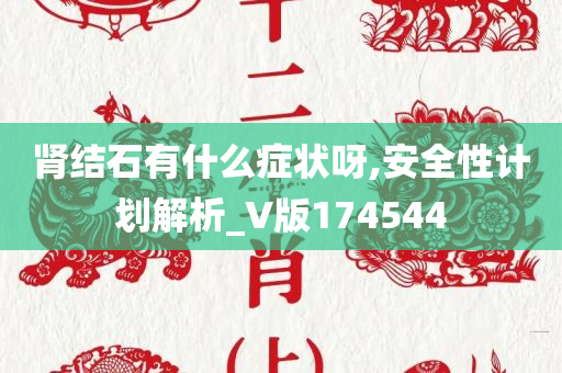 肾结石有什么症状呀,安全性计划解析_V版174544